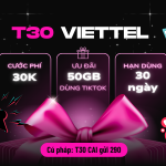 Cách đăng ký gói cước T30 Viettel rinh ưu đãi đến 50GB data dùng 30 ngày